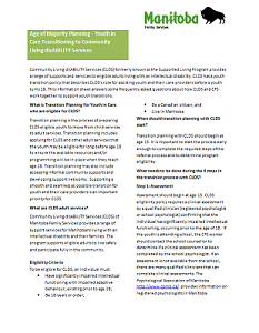 Age of Majority Planning doc cover